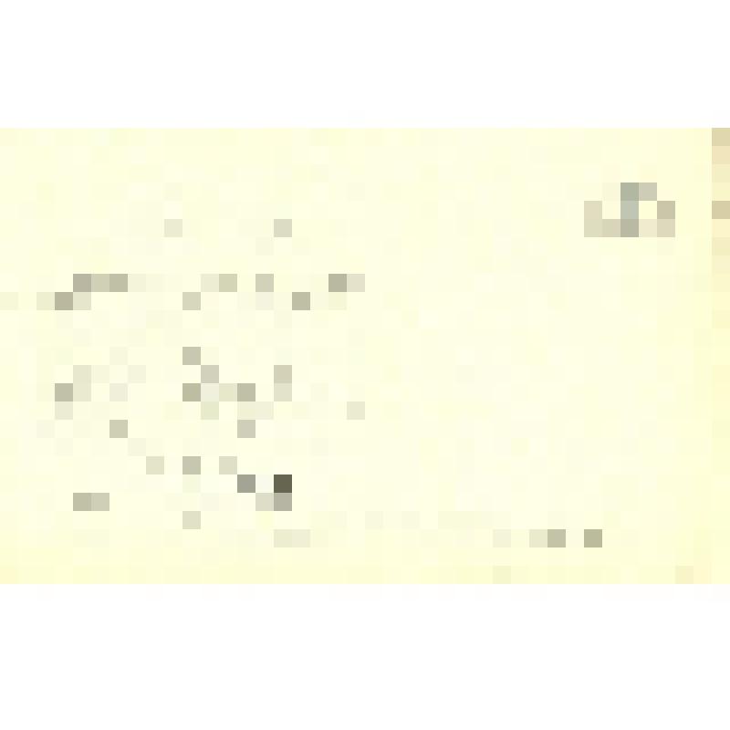 Фото-открытка цветная. Евгений Самойлов