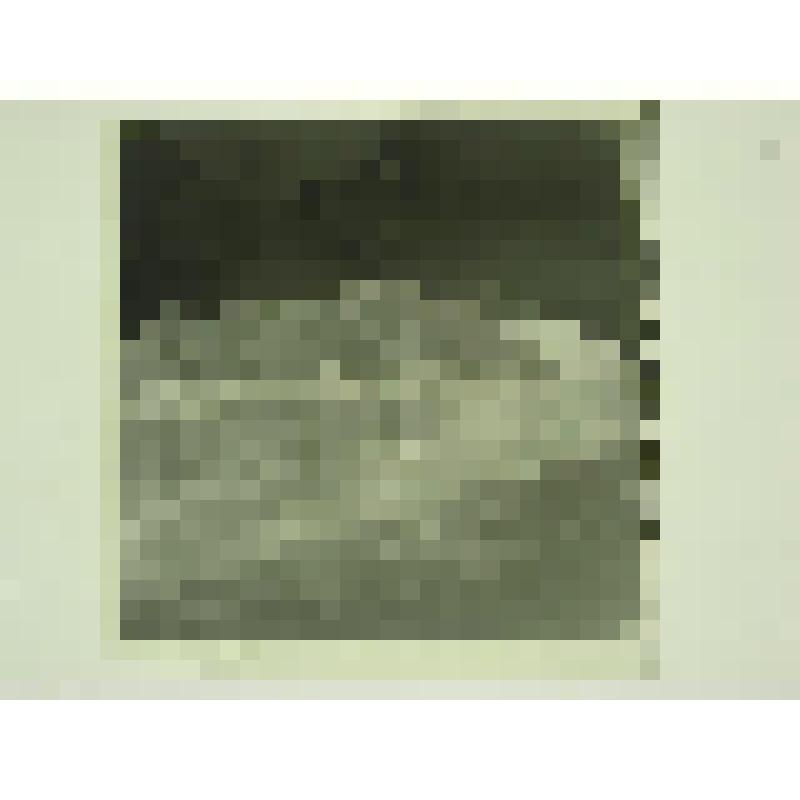 Дом Н.М.Беспалова. Ул. Привокзальная, 29. кон.XIX-нач.ХХ вв. Челябинская  обл., г. Карабаш, пос. Южный (с.Саймоновское). Дом Н.М.Беспалова. Ул. Привокзальная, 29. кон.XIX-нач.ХХ вв. Общий вид усадьбы с переулка