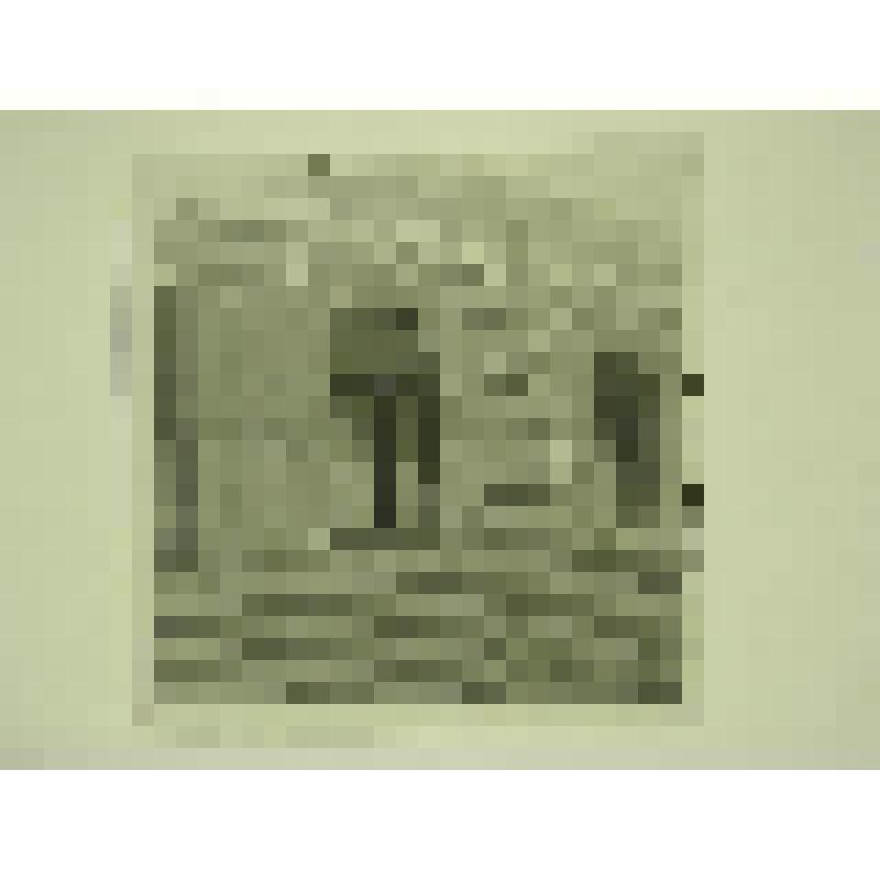 Дом А.П.Мартынова. Ул. П.Морозова, 10-12. втор.пол. XIX в. Челябинская  обл., г. Карабаш, пос. Южный (с.Саймоновское). Дом А.П.Мартынова. Ул. П.Морозова, 10-12, втор.пол. XIX в. Средняя часть лицевого фасада по улице