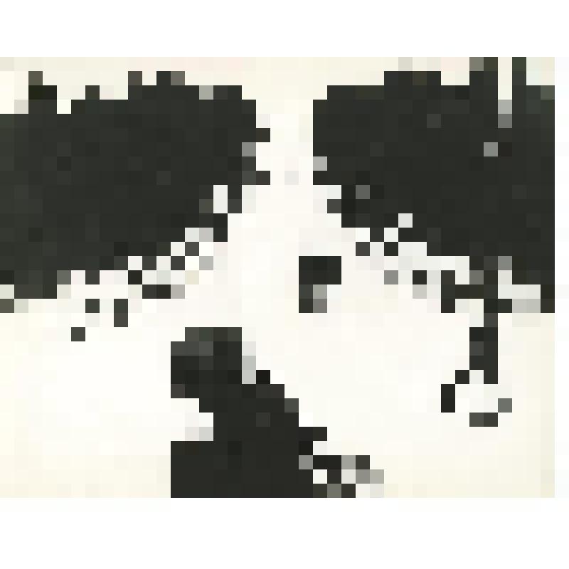 Фотография. Улица