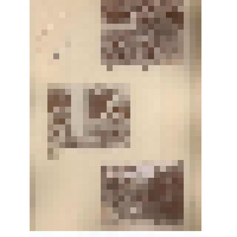 Лист с фотографиями. Виллуан В.Ю. и его окружение