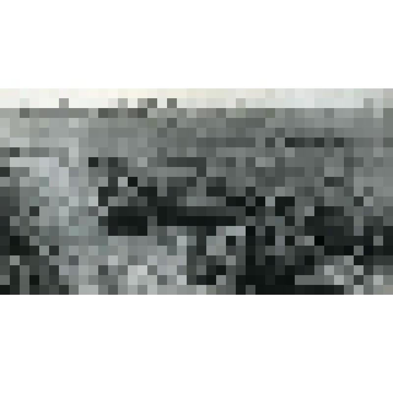 Фотография. Уборка урожая кукурузы