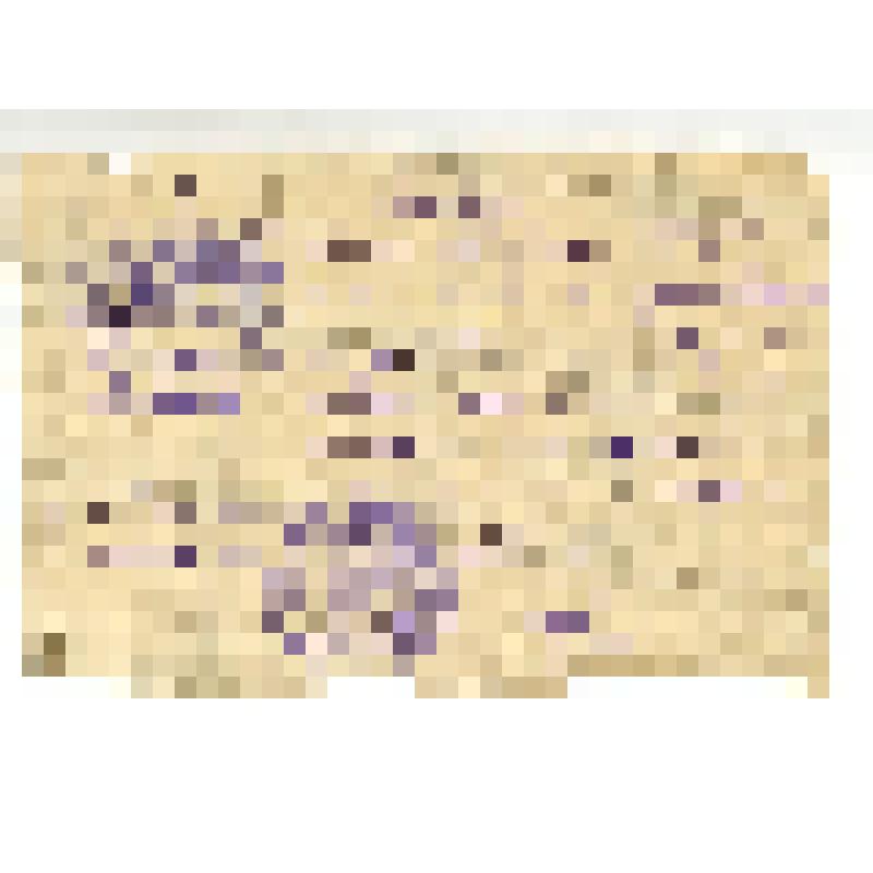 Справка Рутченковской неполной средней школы №2 Трубину Григорию Федоровичу