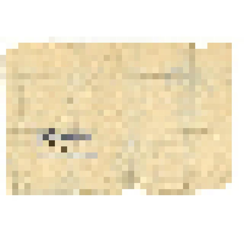 Справка Рутченковской неполной средней школы №2 Трубину Григорию Федоровичу