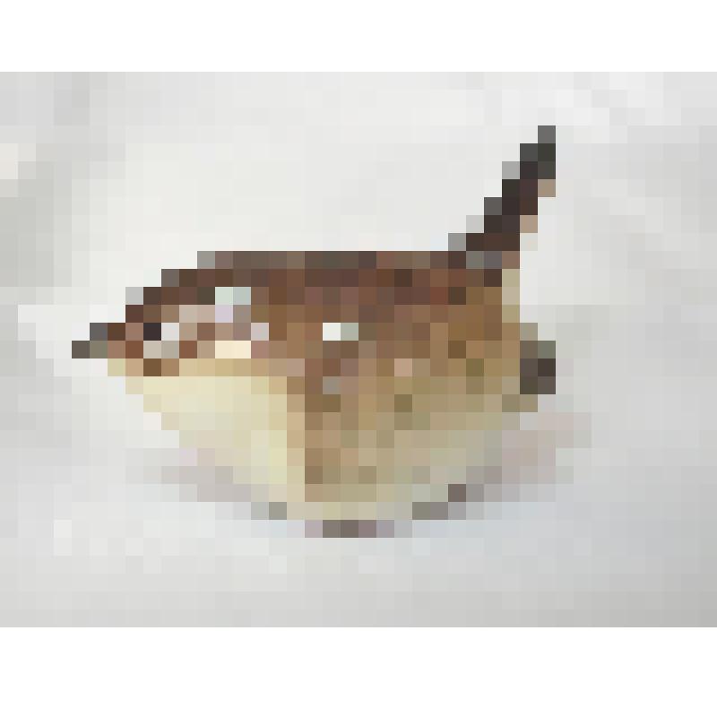 Скульптура (статуэтка) фарфоровая. Крапивничек (№ 1)