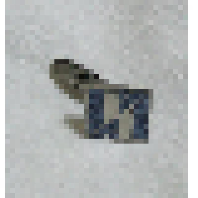 Запонка манжетная мужская, из коллекции бытовых вещей семьи Орловой Калерии Николаевны, бывшей заведующей лабораторией Саратовского областного туберкулезного диспансера