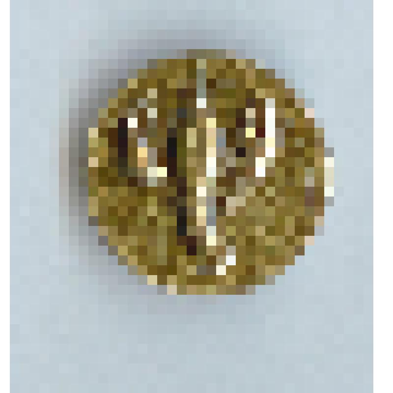 Значок нагрудный «Рак»