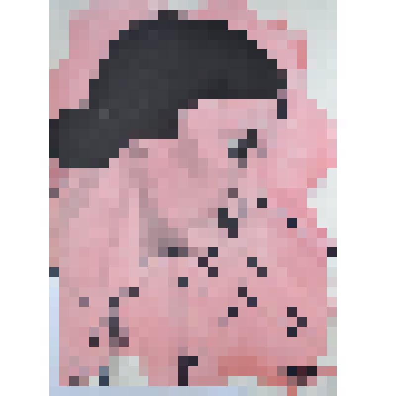 Графическая работа. Портрет-шарж Степановой А.О. Из серии "Советские актёры"