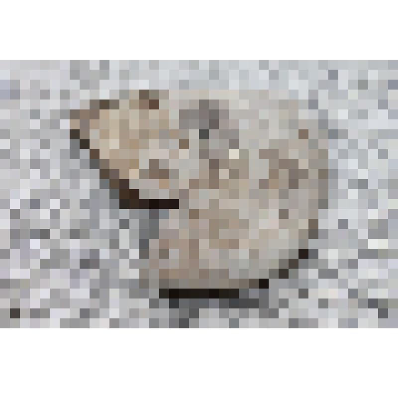 Обломок топора