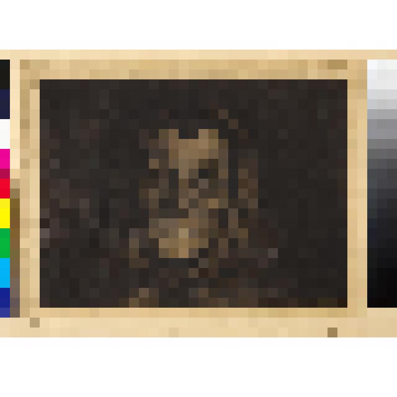 Портрет матери художника, гравюра