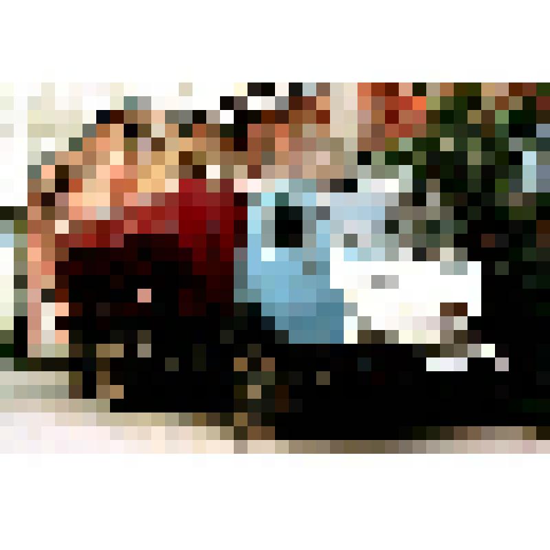 ППФ "Дон". Автомобиль КАМАЗ у здания кормоцеха