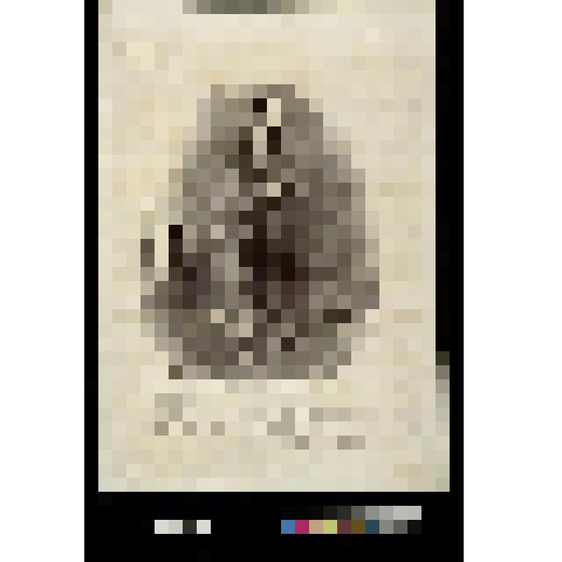 Ma foi! c’est, comme on dit, une véritable rangée de perles!.... seulement, il y en a quelques unes de défilées; voilà tout!