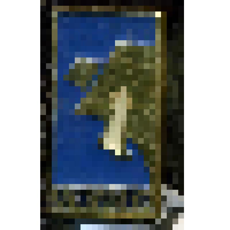 Значок "Джубга"