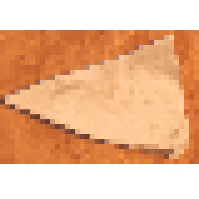 Фрагмент посуды