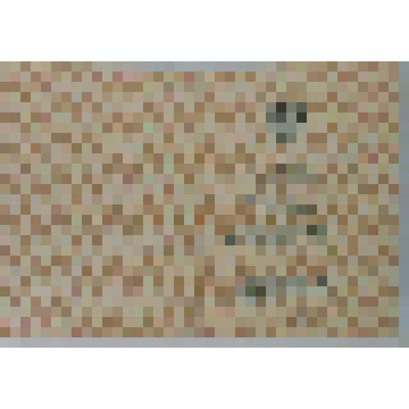 Удостоверение к юбилейной медали "80 лет Великой Октябрьской социалистической революции", вручённой Старухину Петру Васильевичу в соответствии с постановлением Постоянного Президиума Съезда народных депутатов СССР от 25 сентября 1997 г., за подписью предс