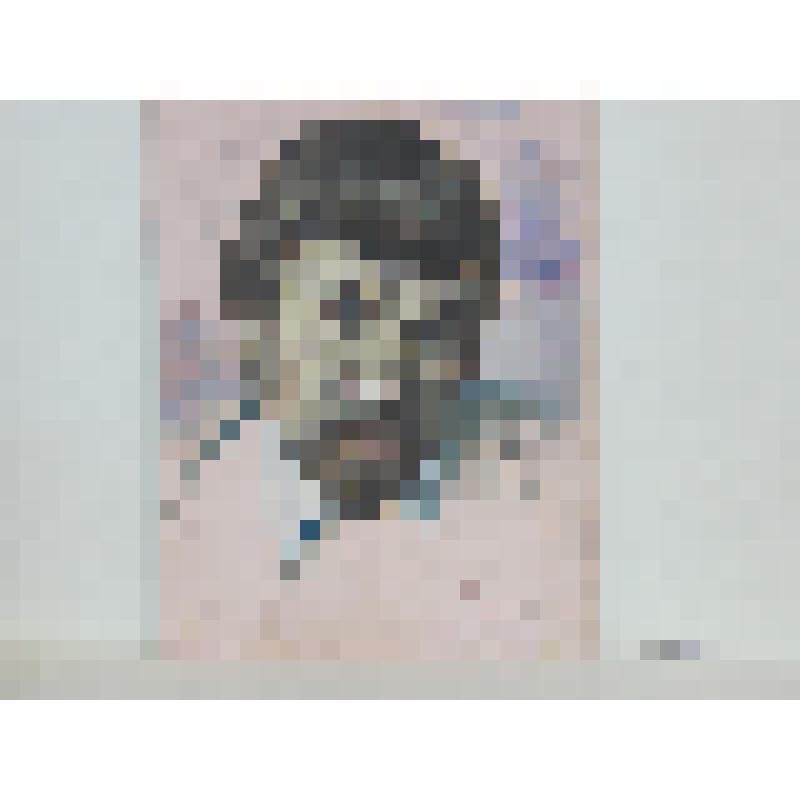 "Портрет Курбатова В.Я."