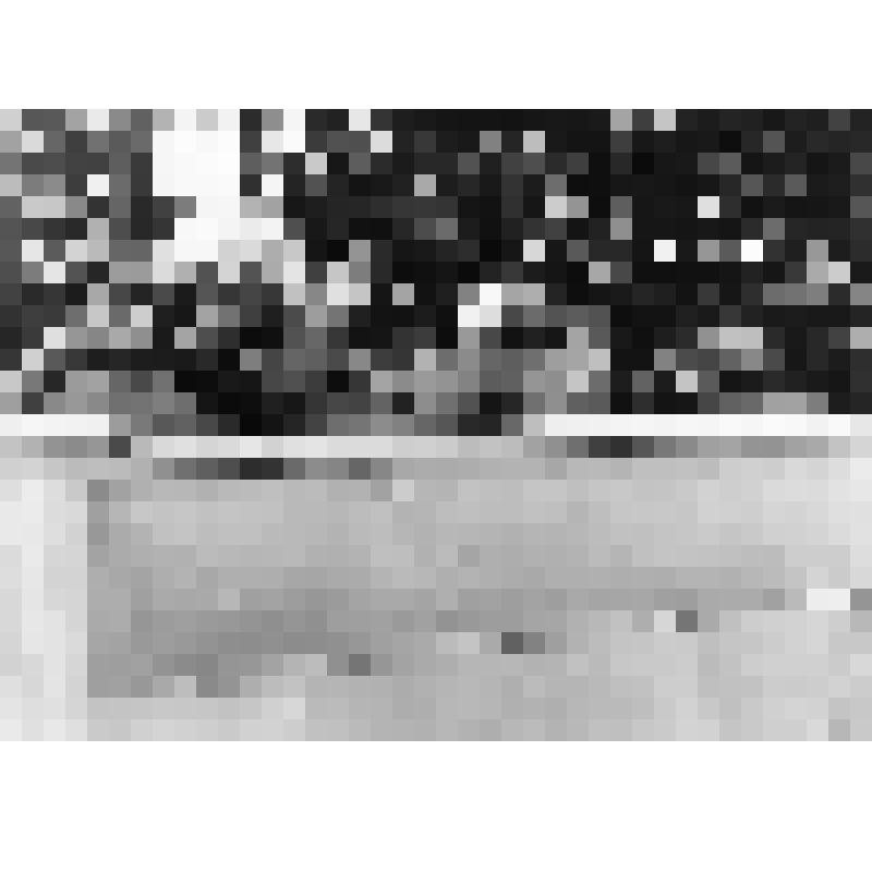 Фотография Рокоссовского К.К. с  фельдмаршелом Монтгомера