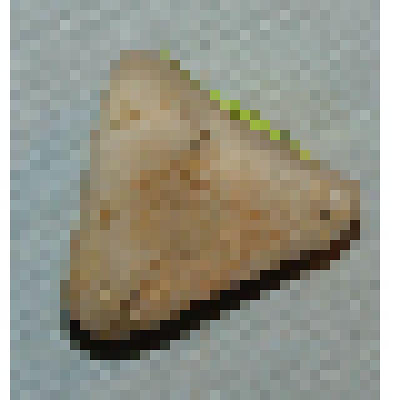 минерал. Кварц. Галька