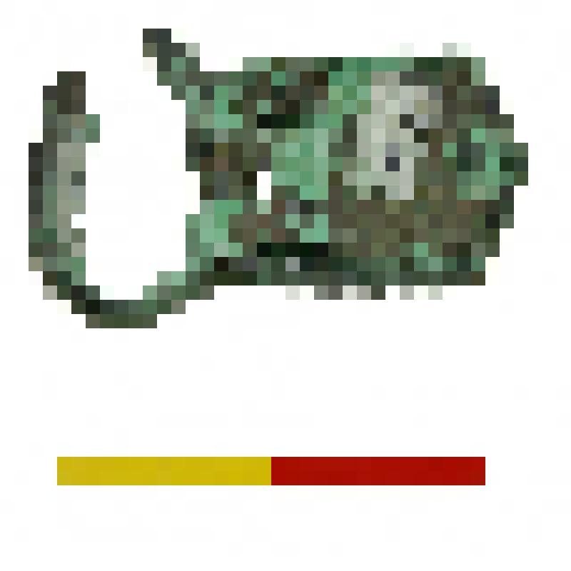 Пряжка. Памятник Мусохраново-I