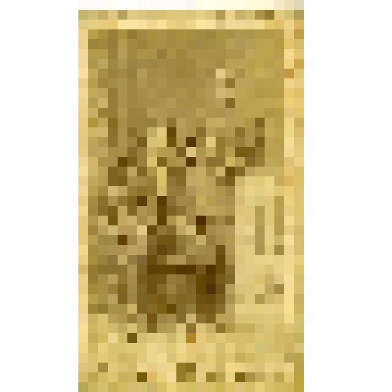 Фотография. Беркутов Африкан Павлович, вольнослушатель Академии Художеств, со студентом