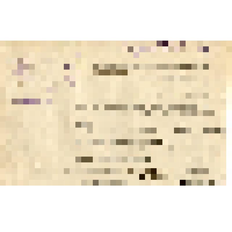 Сообщение №114 из Горсовета о заслушивании доклада о работе музея за истекший год на заседании Президиума Горсовета 9 октября и предоставлении 8 октября краткого письменного доклада