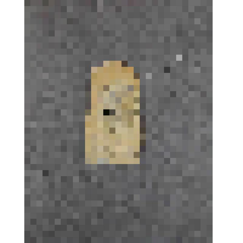 Фотография. Лесков Ярослав Андреевич - внук Н.С. Лескова, сын А.Н. Лескова) в детские годы