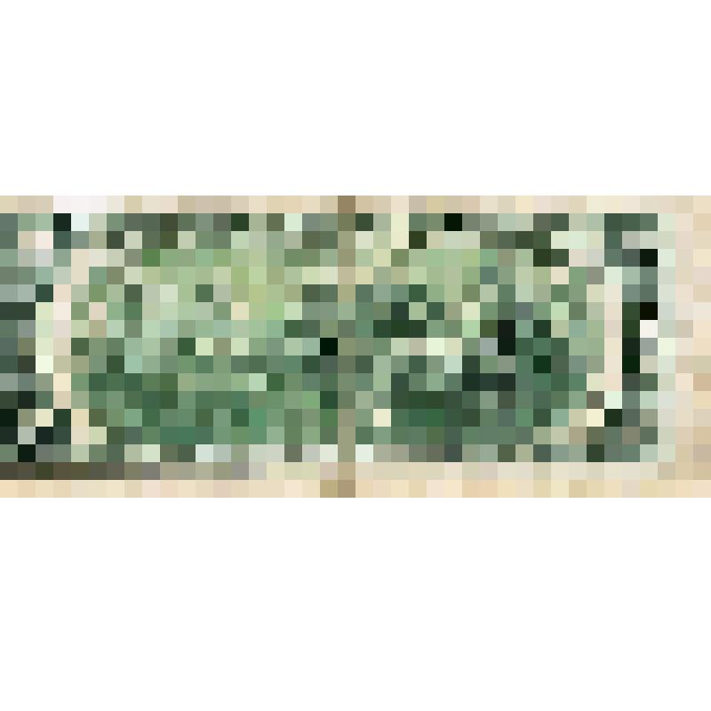 Бумажный денежный знак. 2 доллара США. Серия: G. № 08615591 A