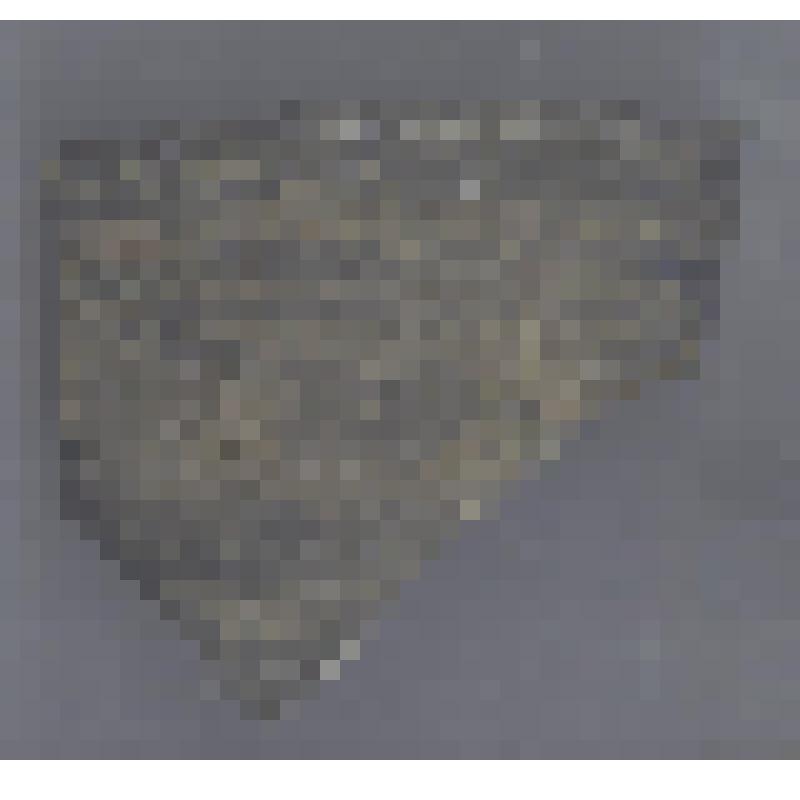 Сосуда белоглиняного чернолощеного венчика фрагмент