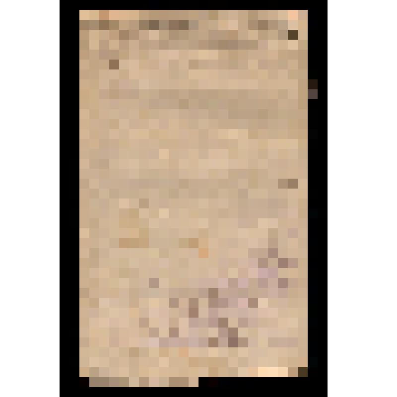 Судебный приговор по делу члена Минераловодской организации партии социалистов-революционеров А.Папаева