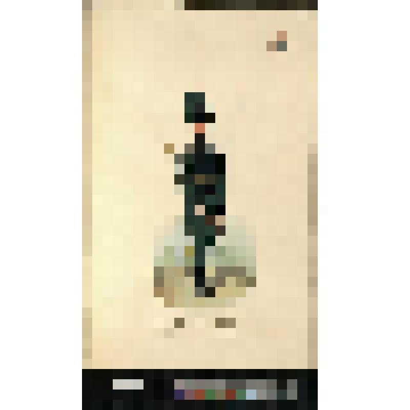 Вермландский егерь шведских войск