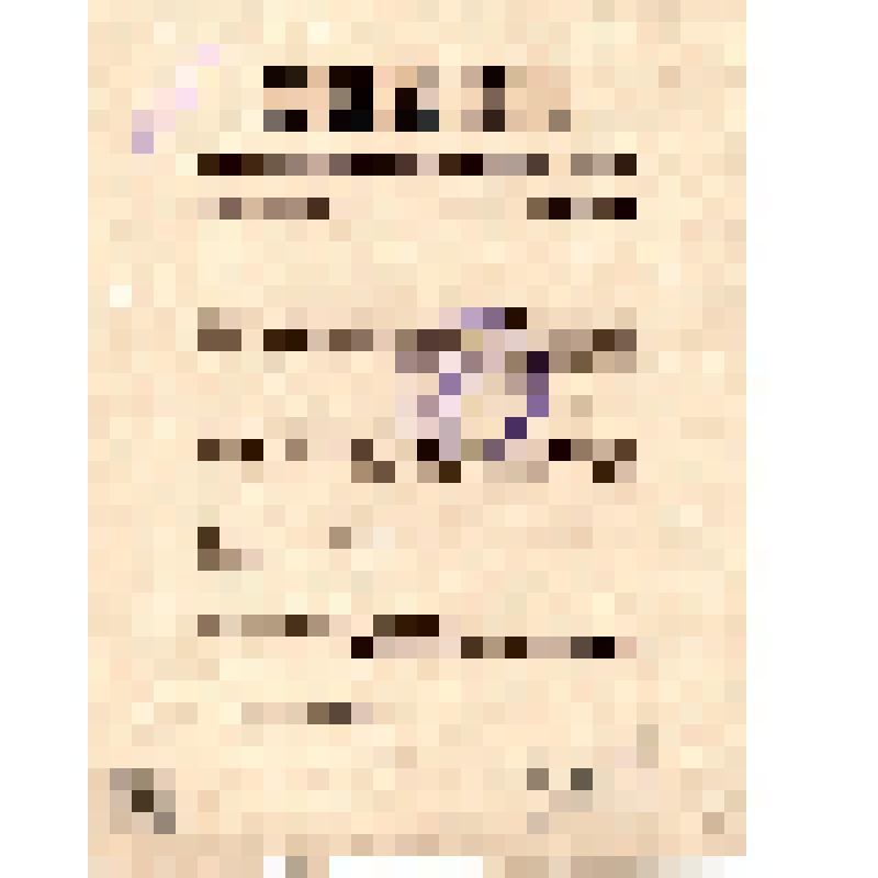 Базилевич, начальник гарнизона, командующий войсками Донской области и др. Приказ N 6 по гарнизону города  Ростова и Нахичевани на Дону