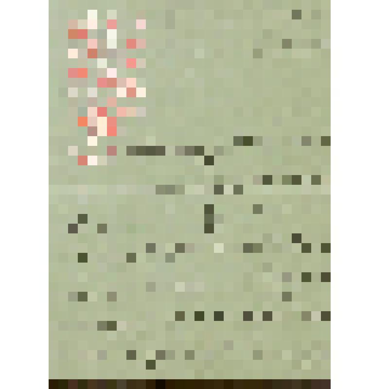 Лешковская Елена Константиновна (актриса). Письмо к Кондратьеву Алексею Михайловичу о плохом самочувствии; с просьбой о замене её в спектакле "Волки и овцы" А.Н.Островского Яблочкиной Александрой Александровной. "Волки и овцы"