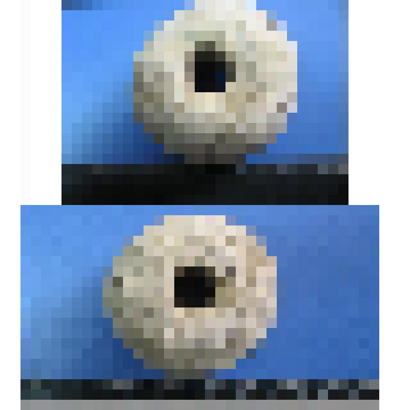 Грузило (?)