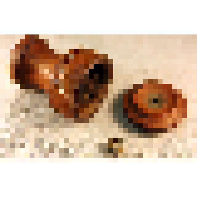 Мельница ручная для пряностей, из коллекции документальных, фотографических и вещевых материалов о Миловидовой Инне Борисовне (1929-2009), кандидате биологических наук, преподавателе биофака Саратовского государственного университета