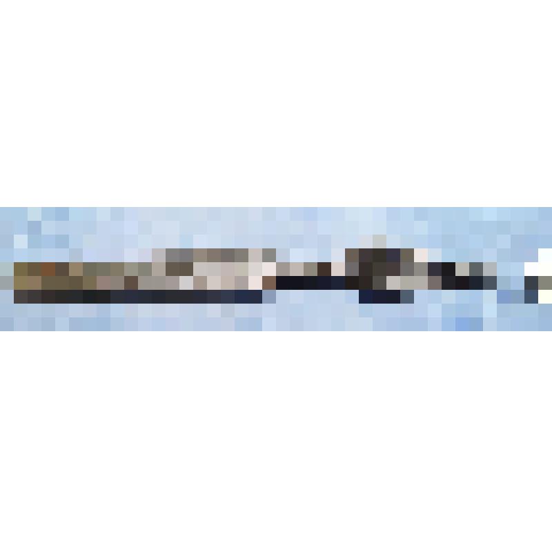 Вилка трезубая. Коллекция сборов 2005 года в деревне Сосновка Крапивинского района Кемеровской области