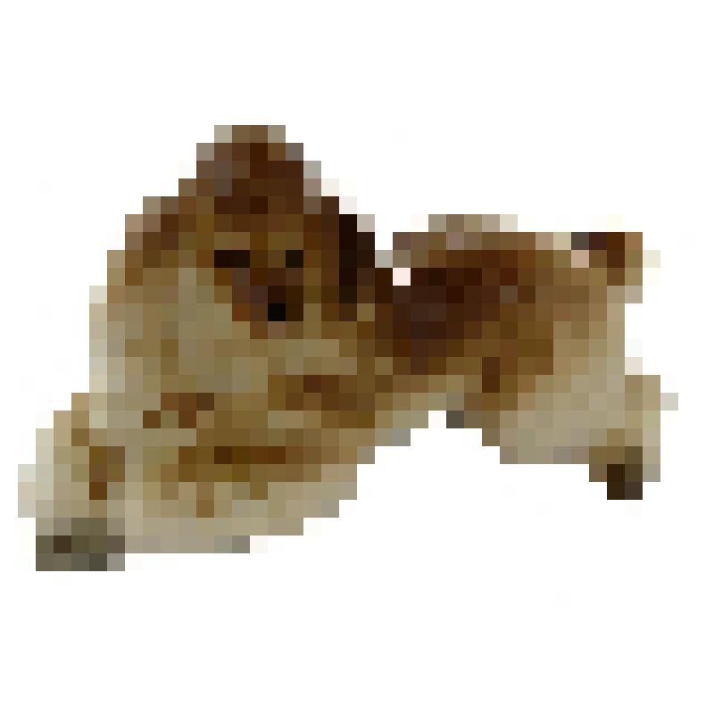 Статуэтка. "Пудель лежащий" (коричневый)