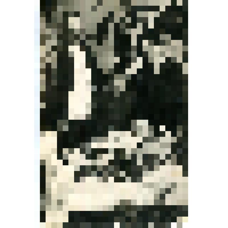 Семья Ларкиных у гробика умершего сына