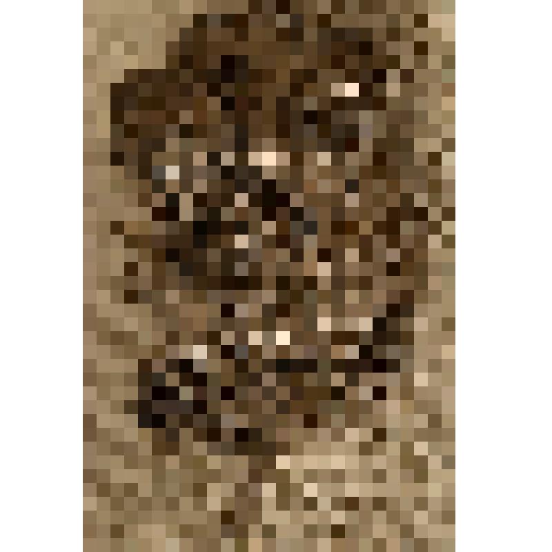 Брошь