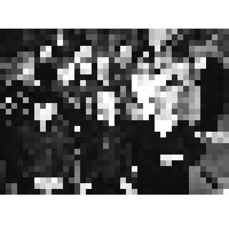 Фотография чёрно-белая. Работники бухгалтерии предприятия "Тюментрансгаз"