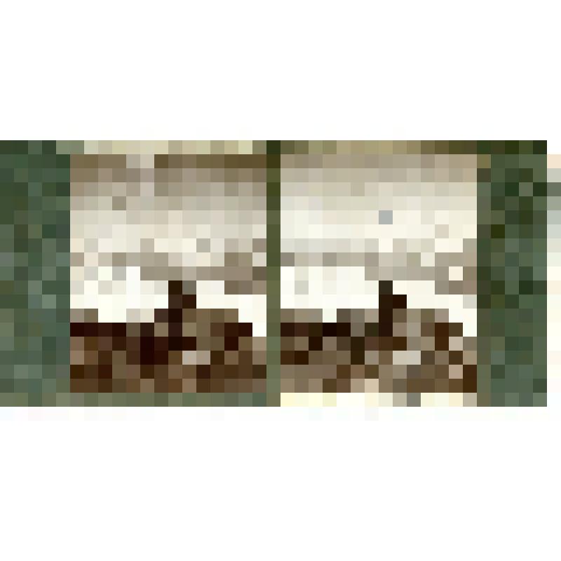 Карточка для стереоскопа «Среди лавовых скал Эльбруса; ледник Азау и главный Кавказский хребет». Из коллекции «Кавказ» с видами природы Западного Кавказа, серии 3-№14. Автор фото Н.Л. Минервин