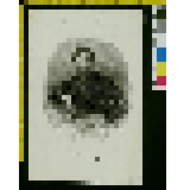 Портрет писателя Ивана Ивановича Панаева (1812-1862)