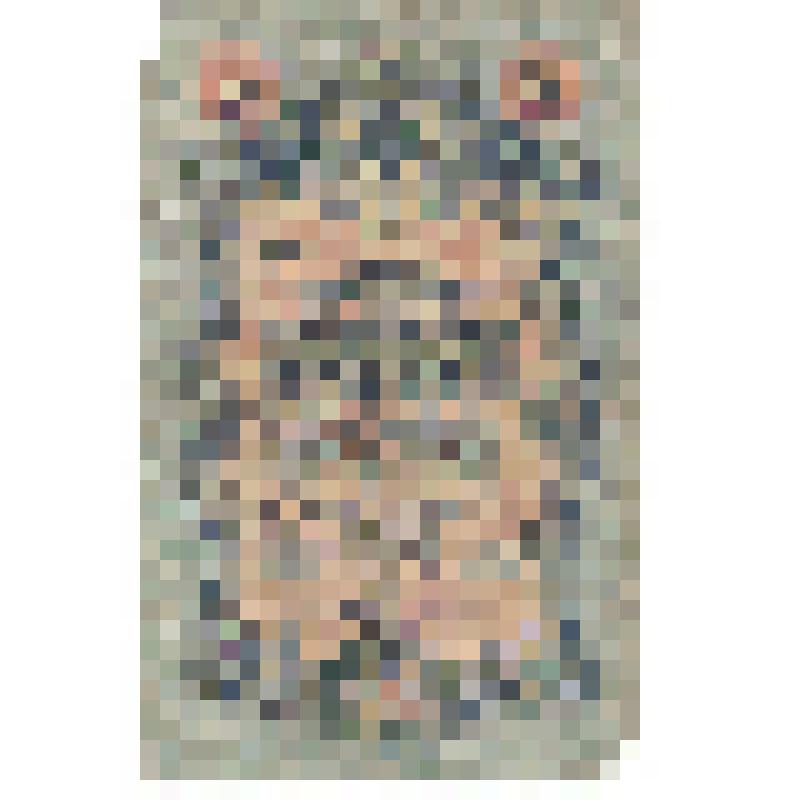 Банкнота бумажная "Государственный кредитный билет. Пять рублей" серия УА - 128