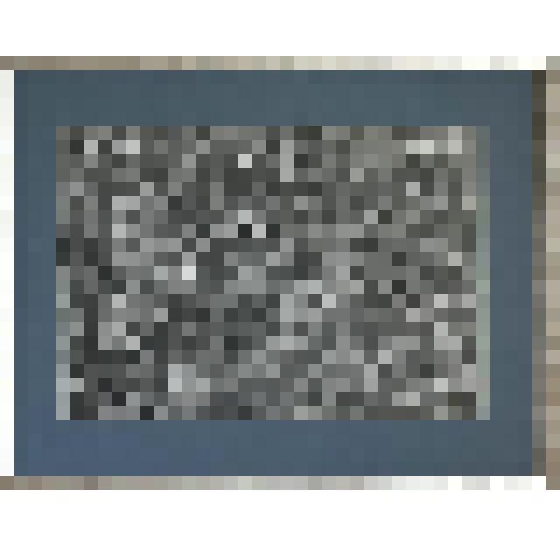 "Кара урман- Темный лес"