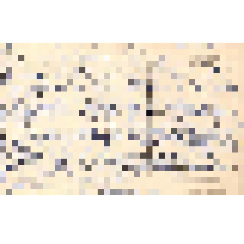 Документ. Открытка поздравительная от Зелинской Н.Е. из г. Москвы Князевой В.П. от 25.12.1978 г