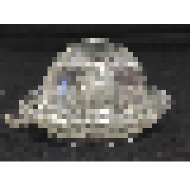 Соковыжималка для цитрусовых