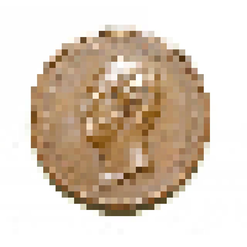 Медаль "За усердие" времен царствования Александра II. Образец