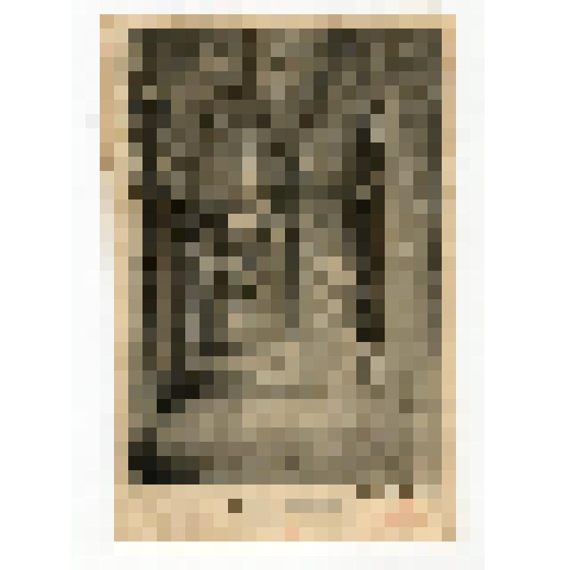 Открытое письмо "Императорский Гатчинский дворец. Коридор нижнего этажа"