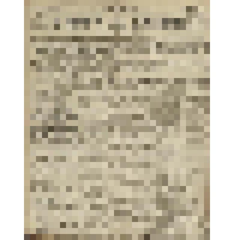 Газета. Русское знамя. № 263 (2 л.;)