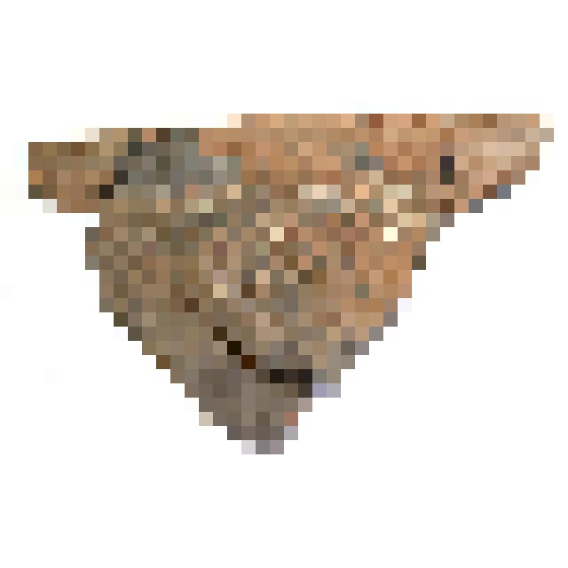 Горшок (фрагмент)