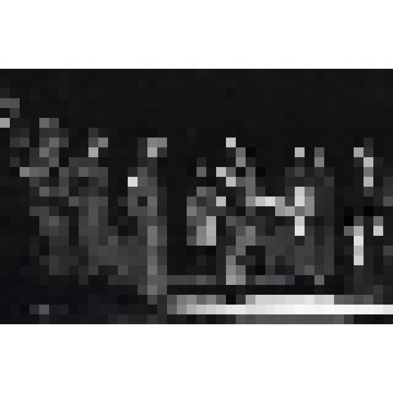 Негатив черно-белый. Сцена из спектакля. "Борис Годунов" (1994 г.)